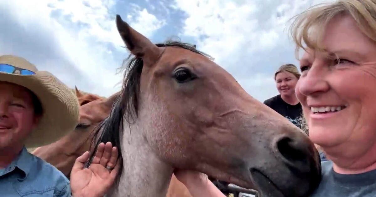 Protecting horse herd is couple's top priority as Rocky Canyon Fire grows larger