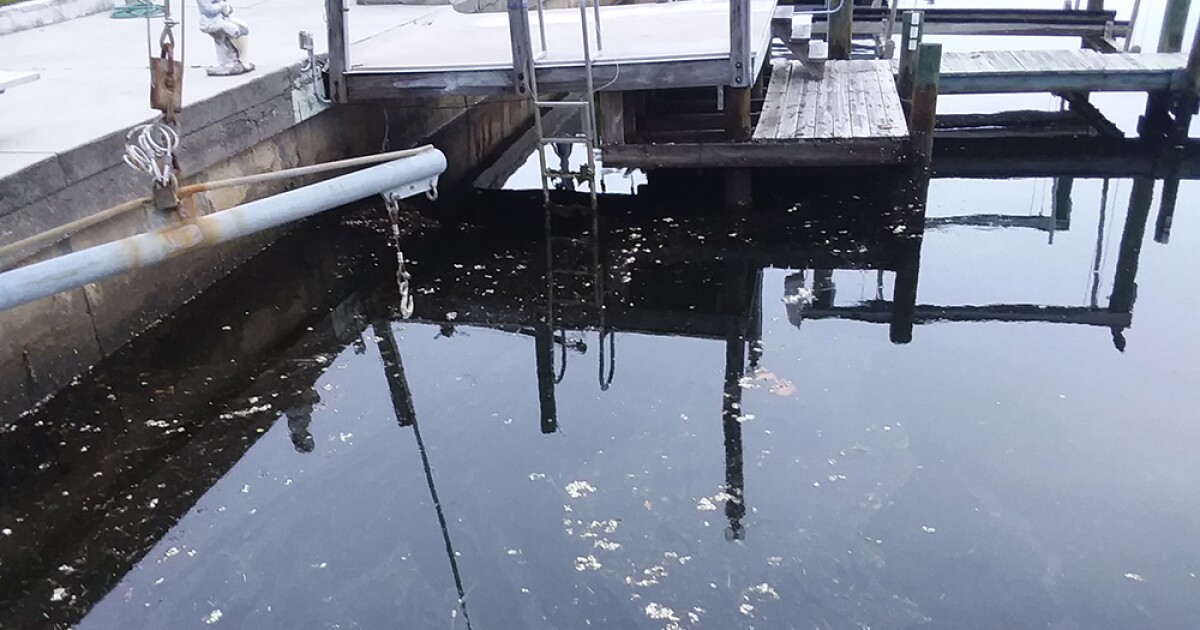 Environmental Engineer Says Styrofoam Docks Pose Big Threats To