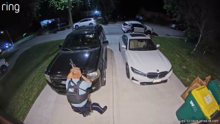 ring video.png