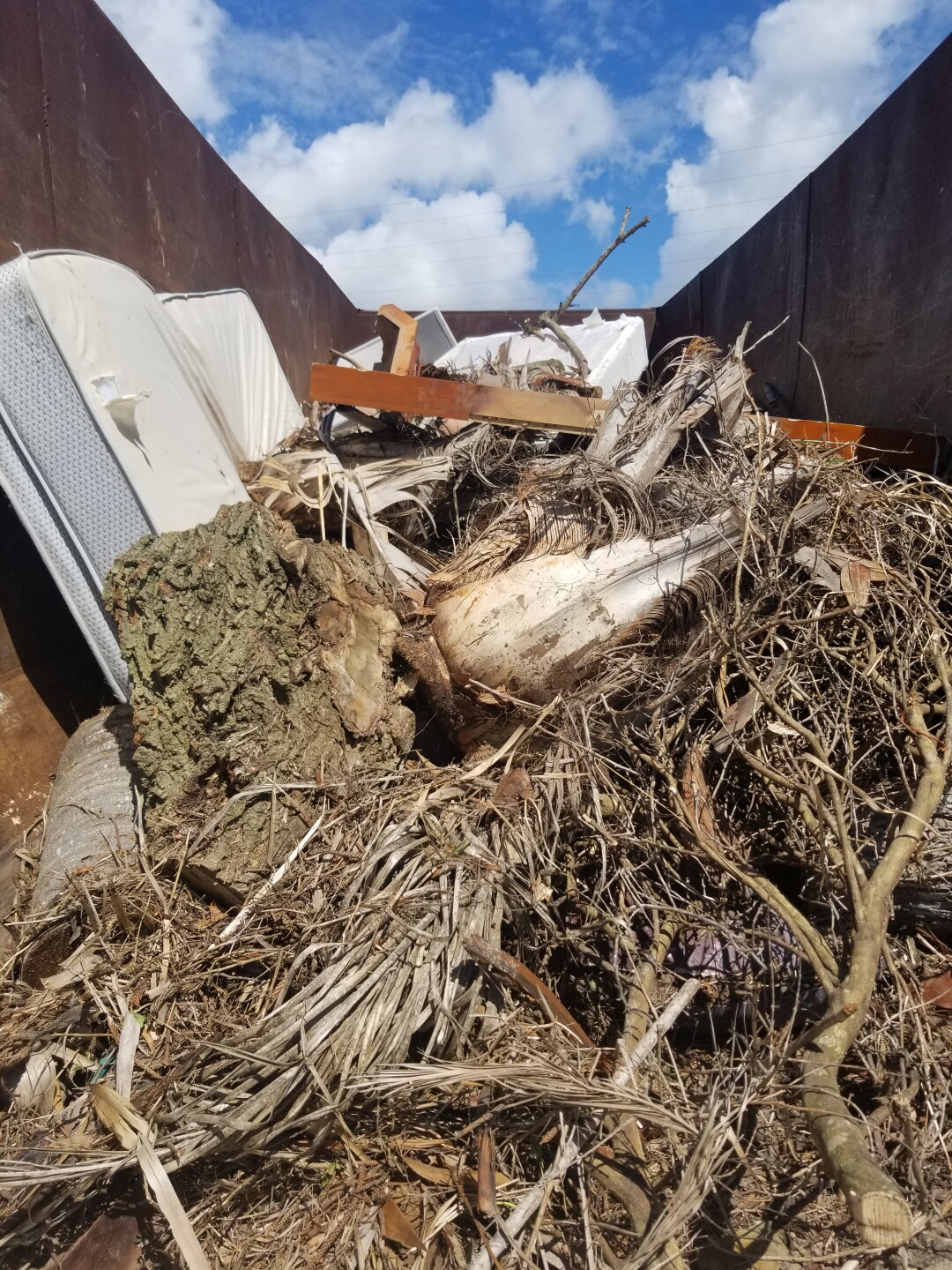 litter critter trash.jpg