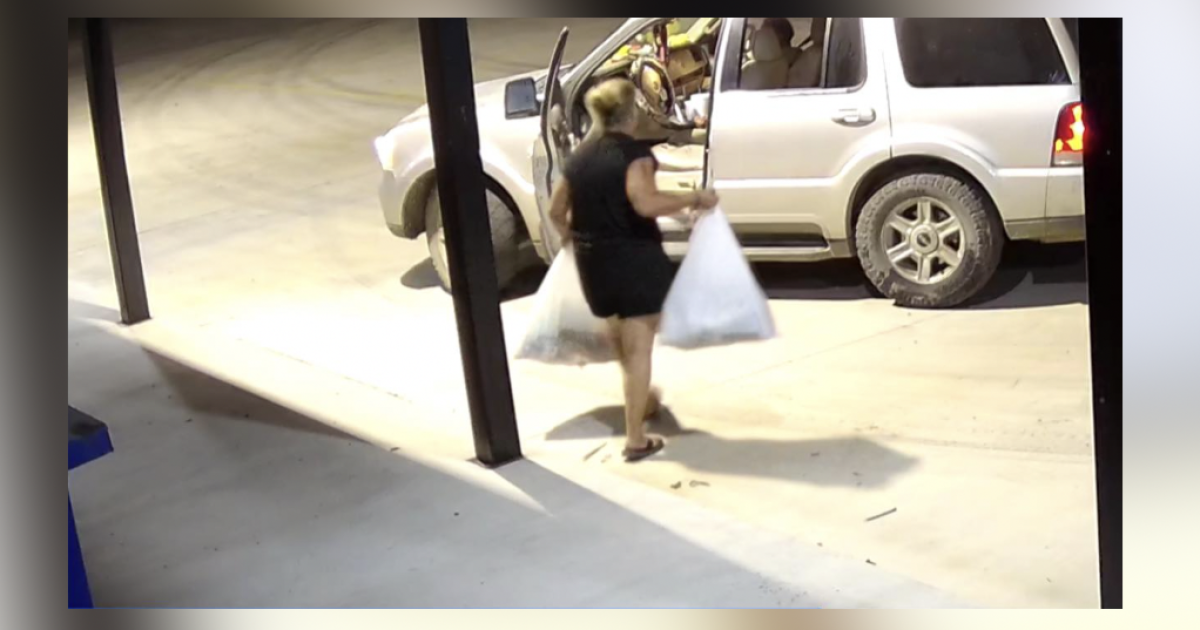 Watch As Thieves Caught on Camera Steal Donations from Leon County Food Pantry – A Shocking Act of Disrespect Watch As Thieves Caught on Camera Steal Donations from Leon County Food Pantry – A Shocking Act of Disrespect