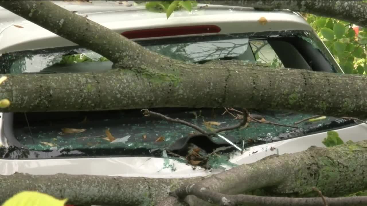 Poster image - 2021-08-11T182452.367.jpg