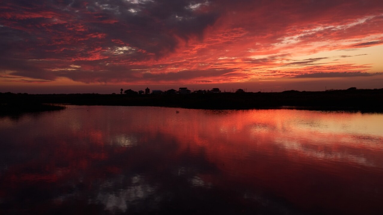 Climate Saving Cranes Habitat