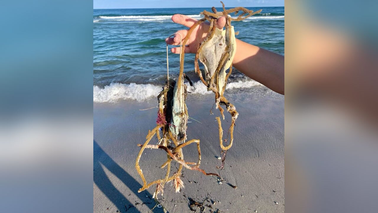 litter-on-Boca-Raton-beach2.jpg