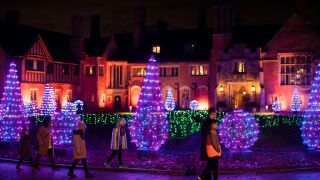 Winter Wonder Lights 