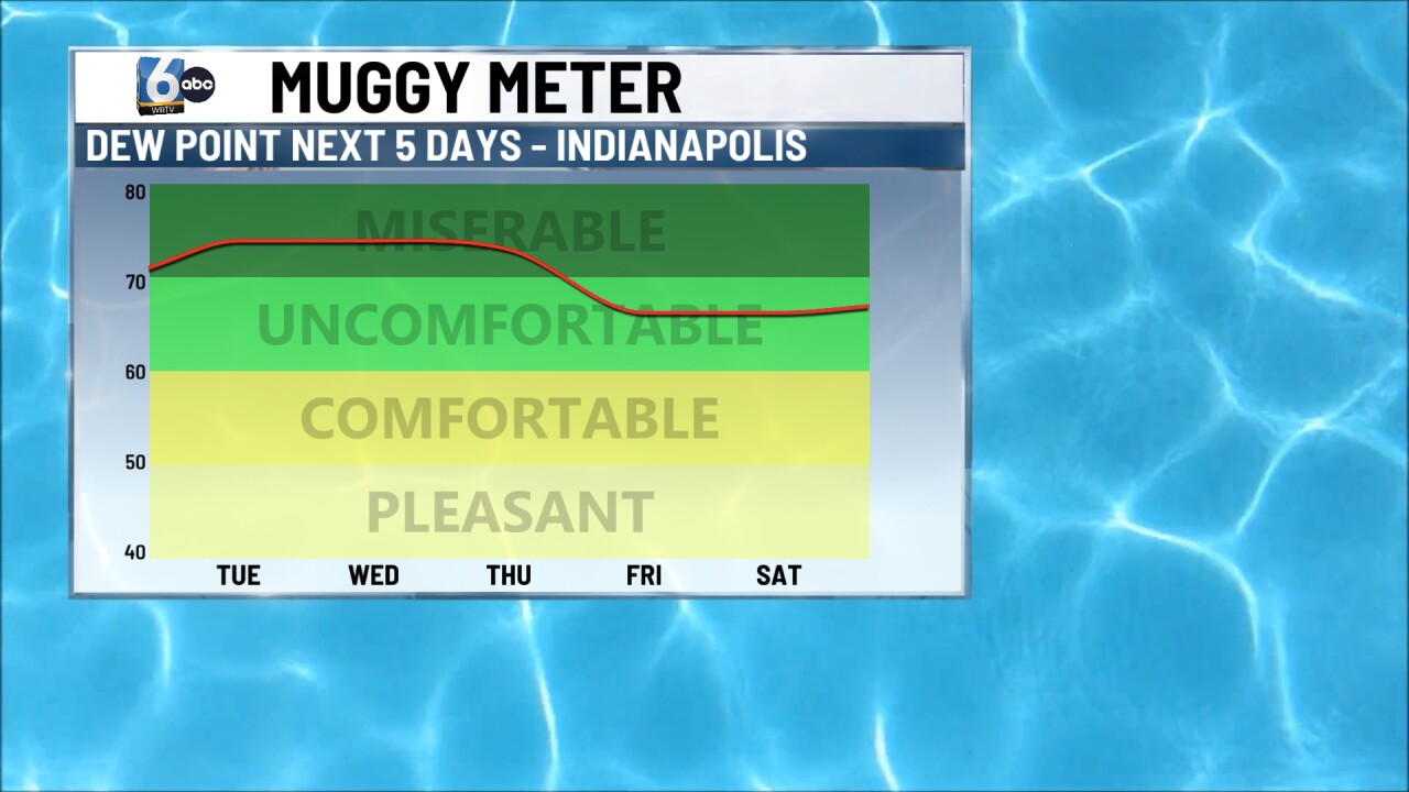WRTV - MUGGY METER (1).jpg