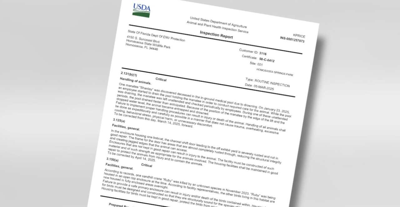 Manatee death report