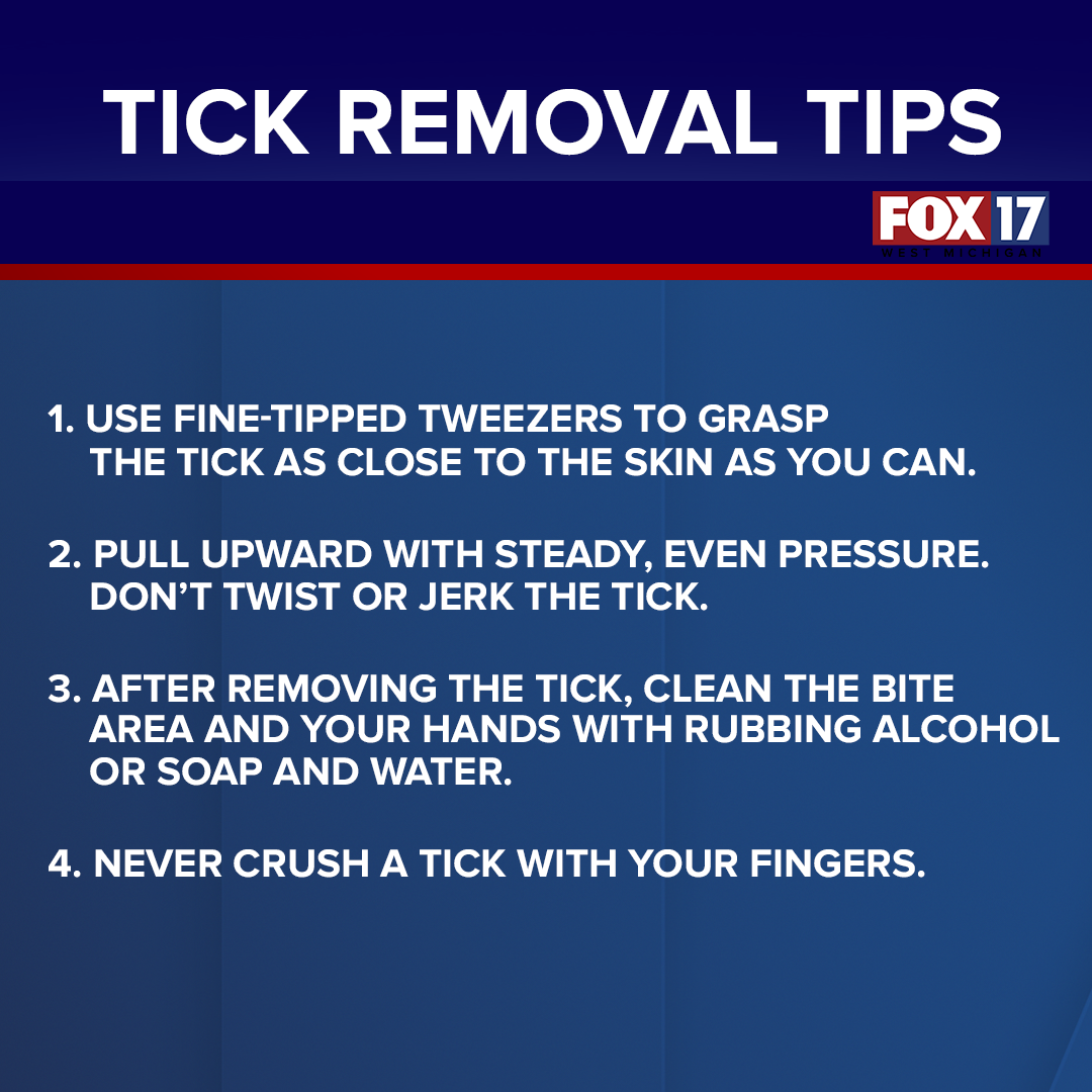 Tick Removal Meme.png