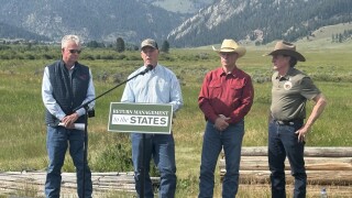 grizzly bear management.jpg