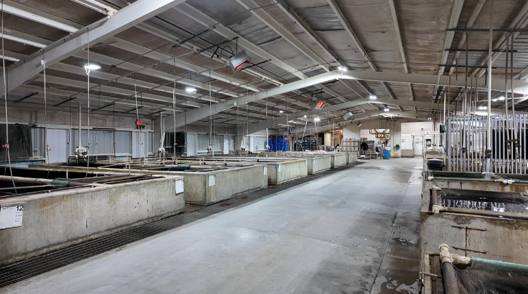 Screenshot 2026-01-21 at 6.03.12 PM.png