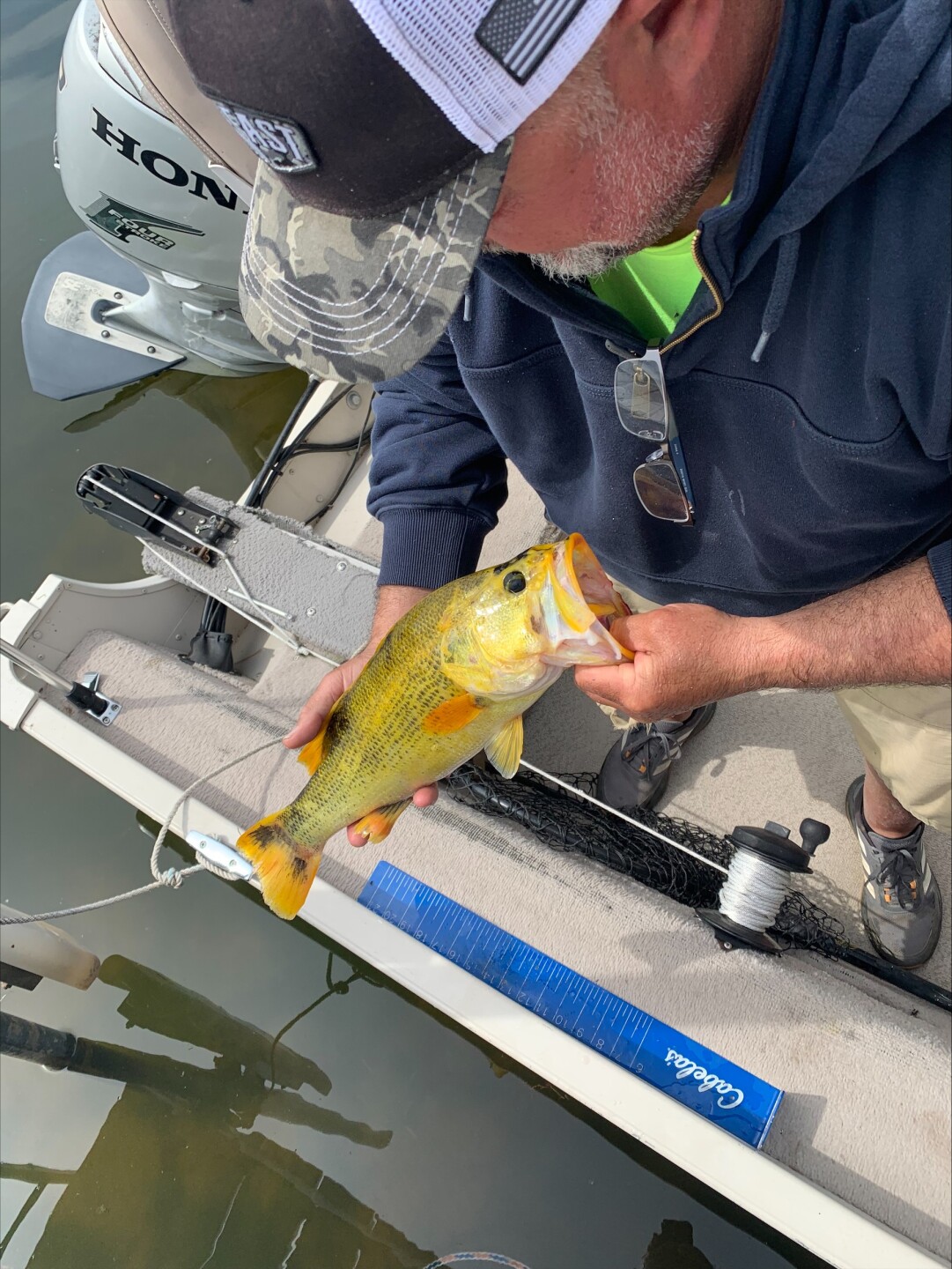 Bob Golec and the rare golden bass