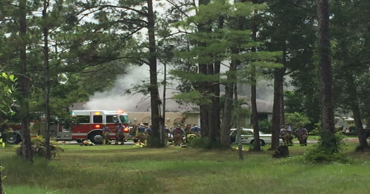2 dogs rescued from house fire