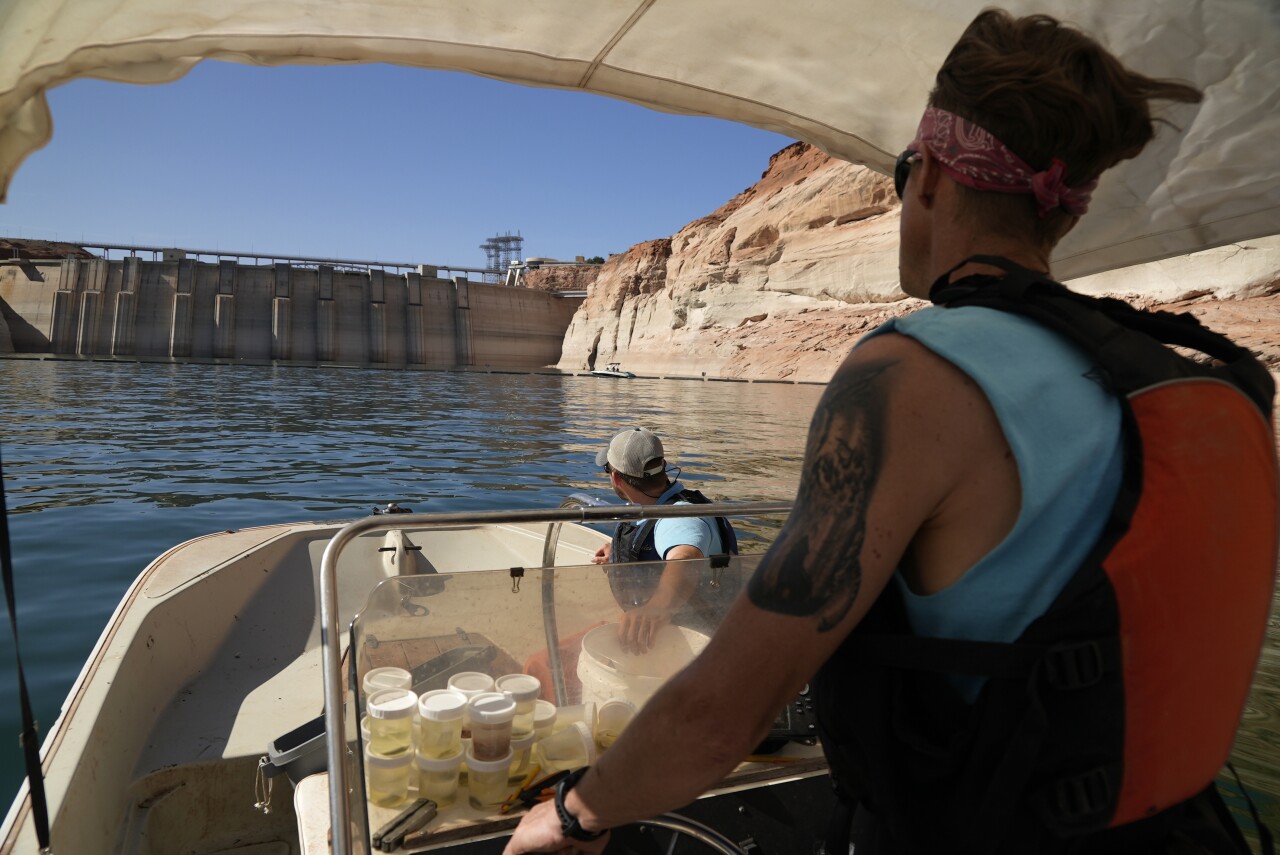 Colorado River Scientists Fears Affirmed