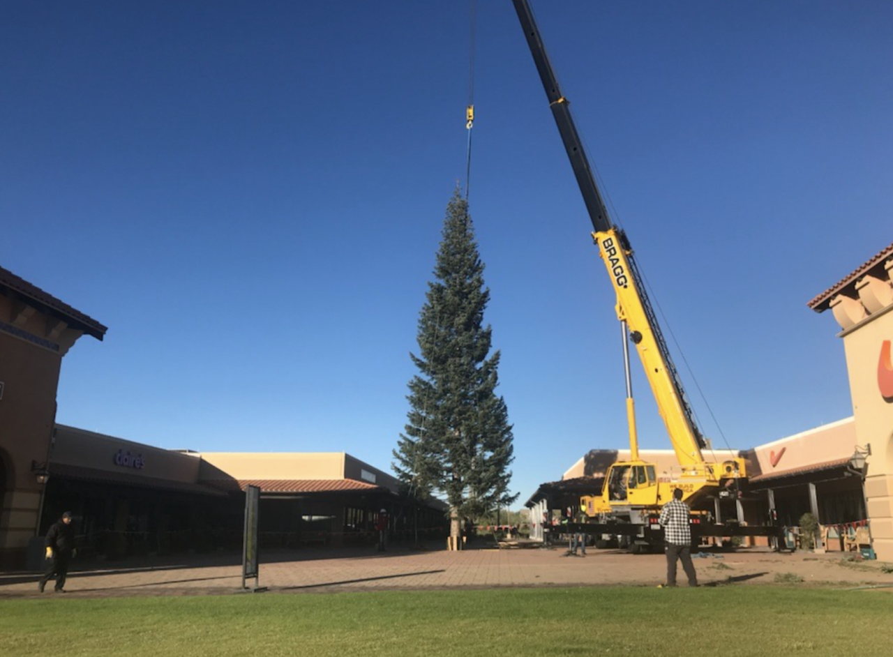 Anthem christmas tree