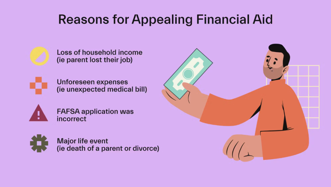 appeal reasons