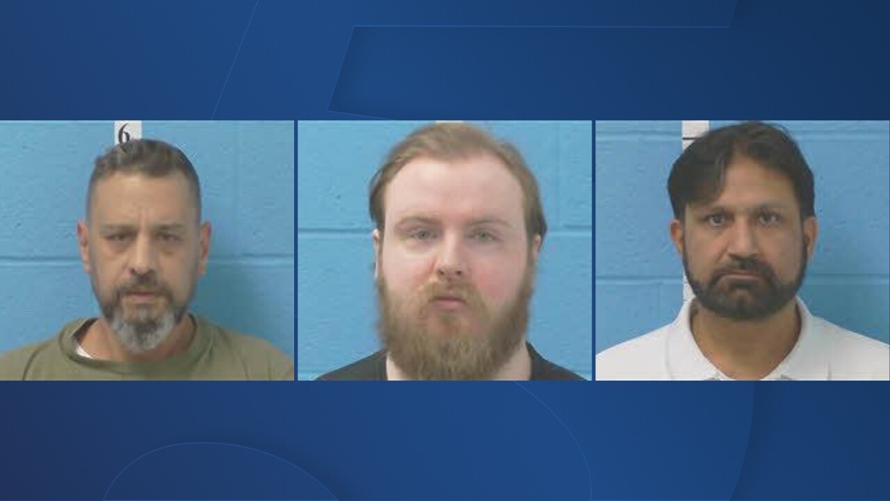 Williamson County Sheriff's Office ICAC arrests