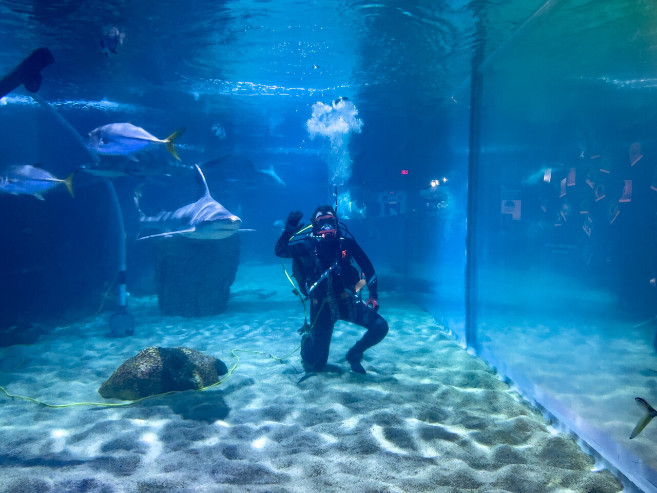 Hidden Gems - Cleveland Aquarium.jpg