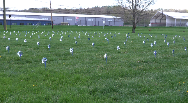 Field filled with blue pinwheels in Clermont County