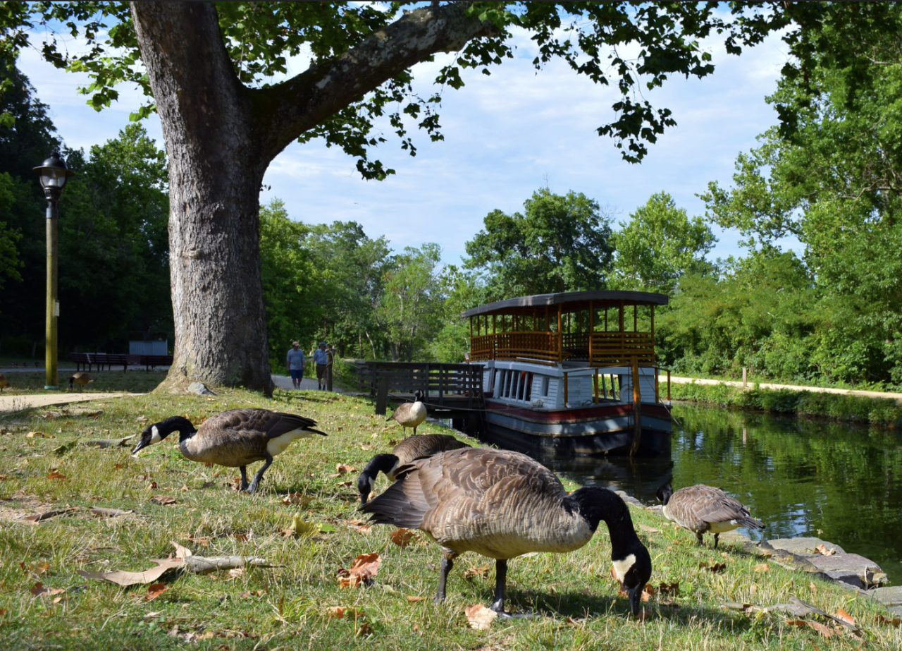 Great Falls Canal Boat Rides