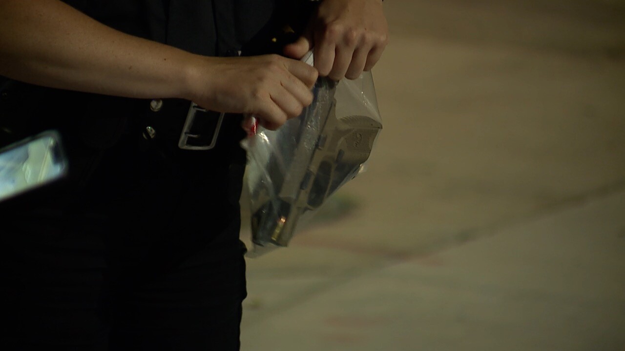 Euclid shooting gun.jpg