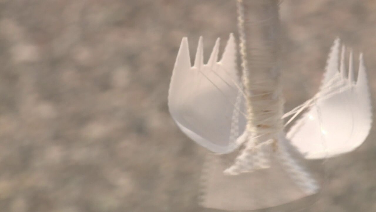 Spork.jpeg