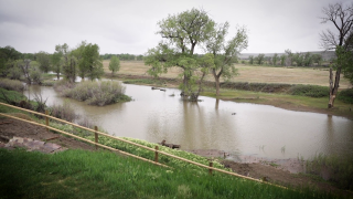 Rain brings both relief and flooding concerns to Central Montana