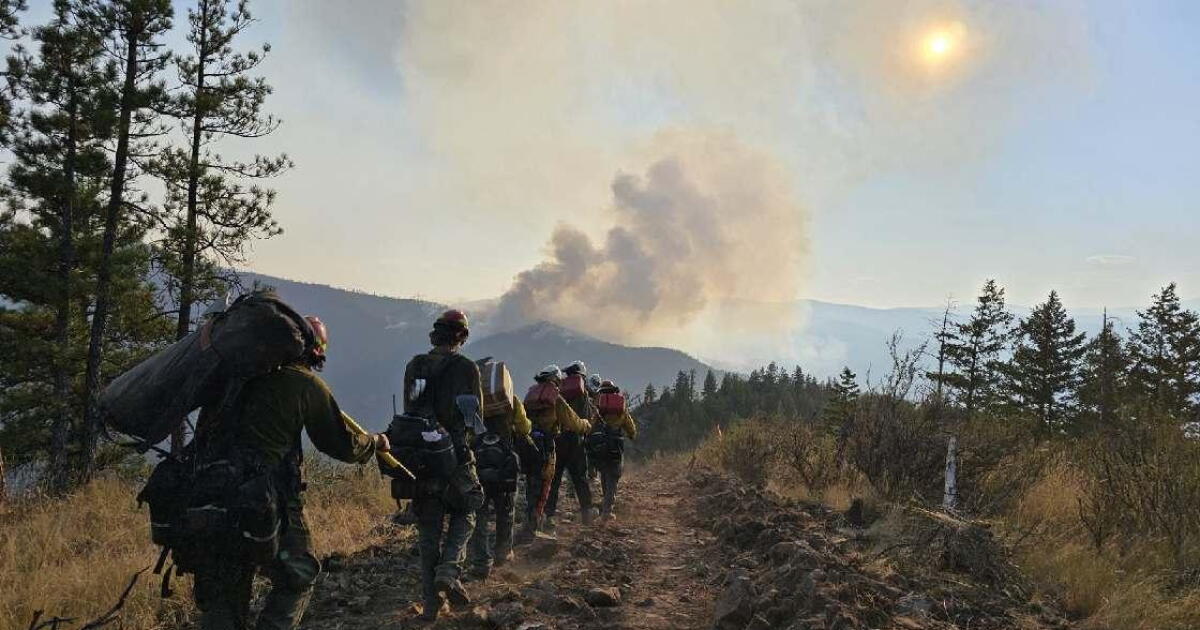 River Road East Fire near Paradise at 17,277 acres, 26% contained - Vimarsana News