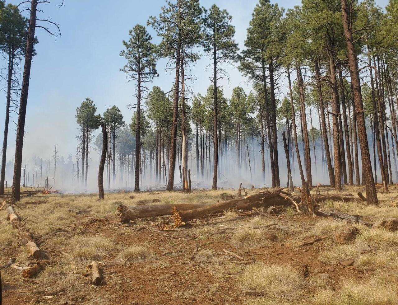 Boggy Creek Fire 2.jpeg