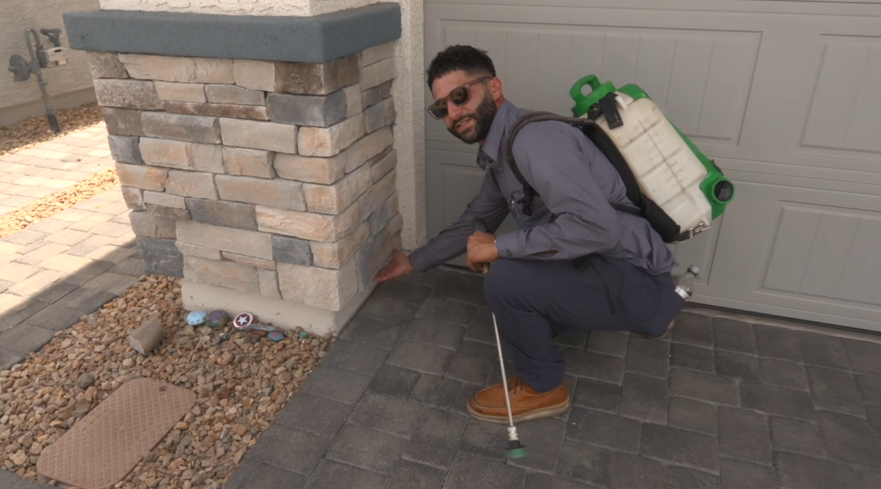 Free pest control offered amid Henderson cockroach invasion