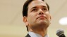 Rubio drops out of presidential race