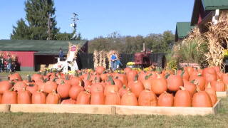 Eckert's Orchard.jpg