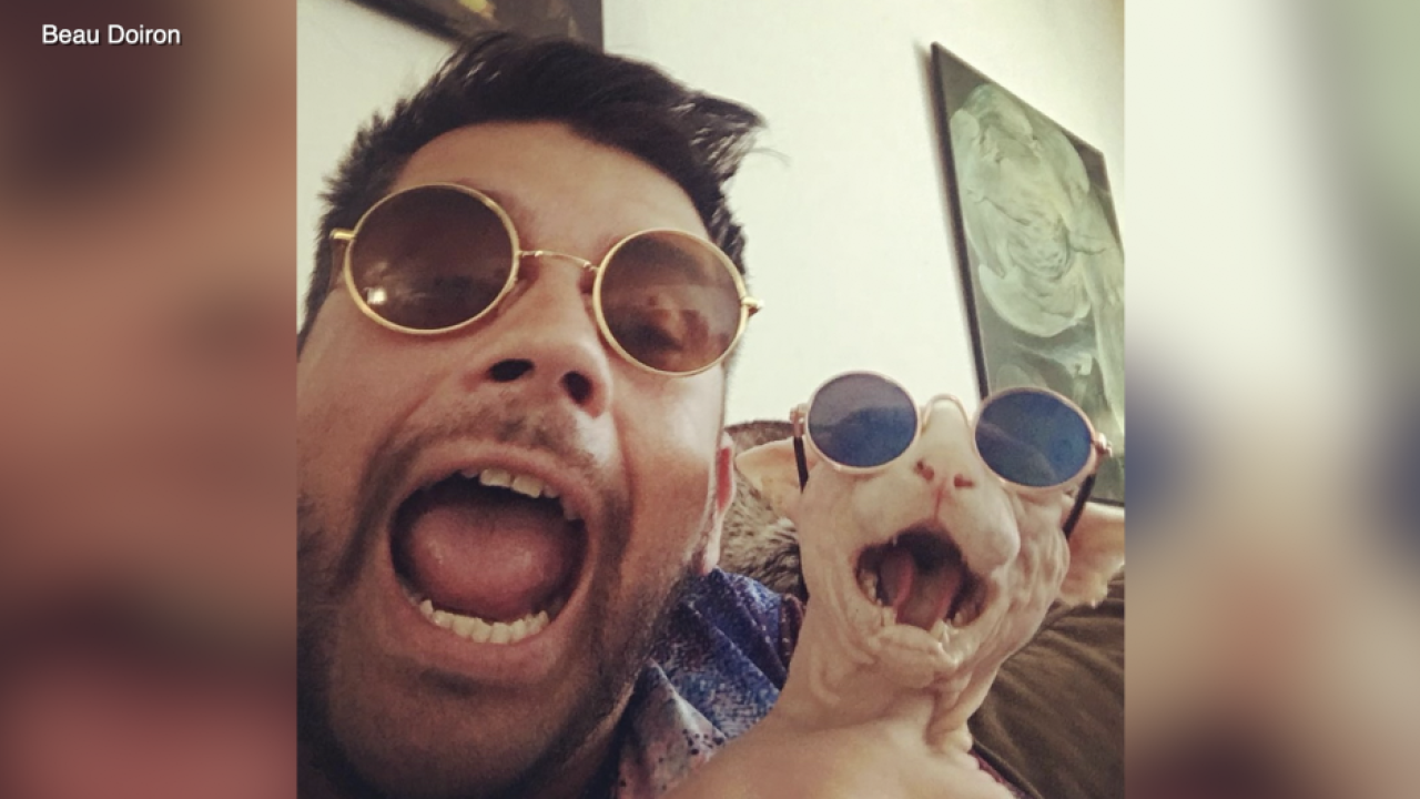 Cat named Yoda saved after San Diegans donate thousands