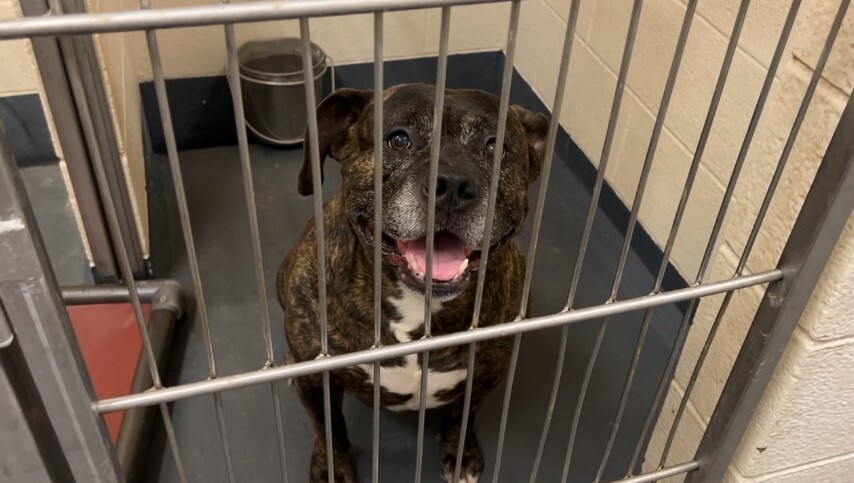 Screenshot 2024-07-15 231033.jpg