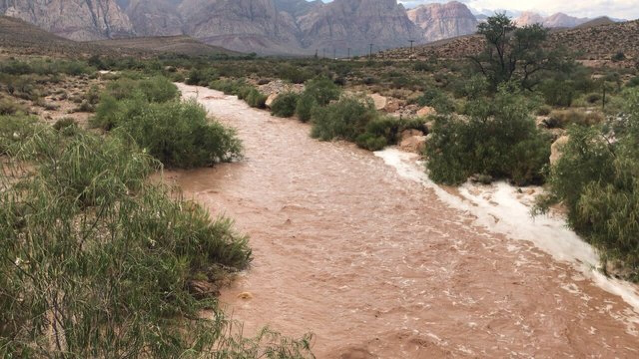 Police search for missing after floodwaters wash multiple people away in  Las Vegas canals