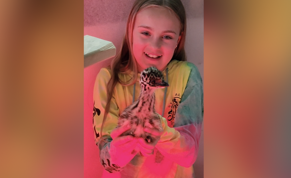 Cassadaga Valley Emu