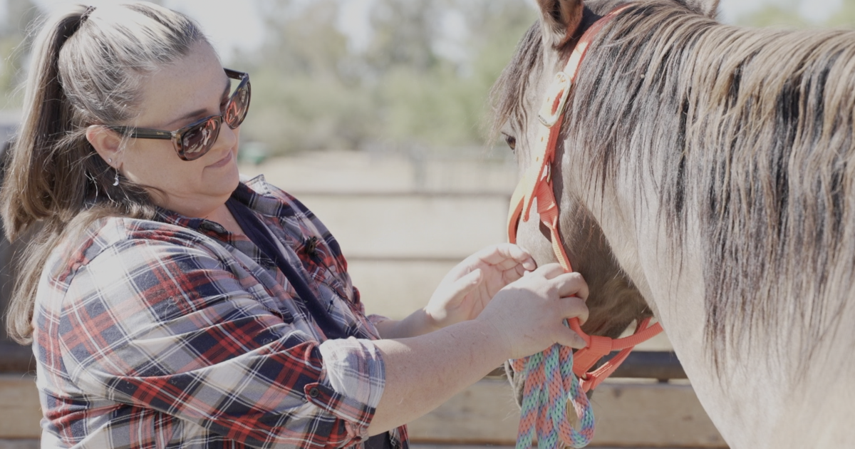 PMI's vet tech program gives students hands on learning at TRAK ranch