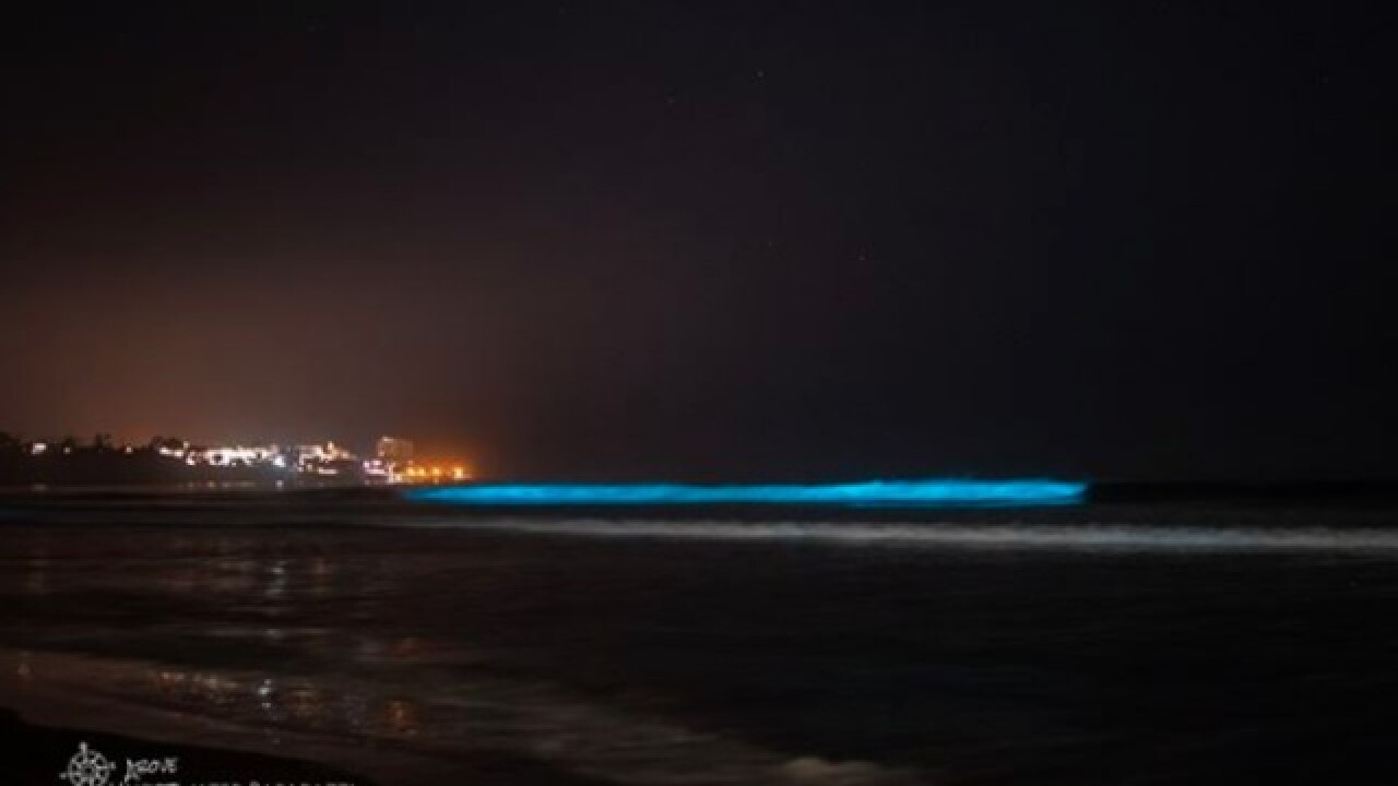 Red tide creates eerie glow on San Diego coast