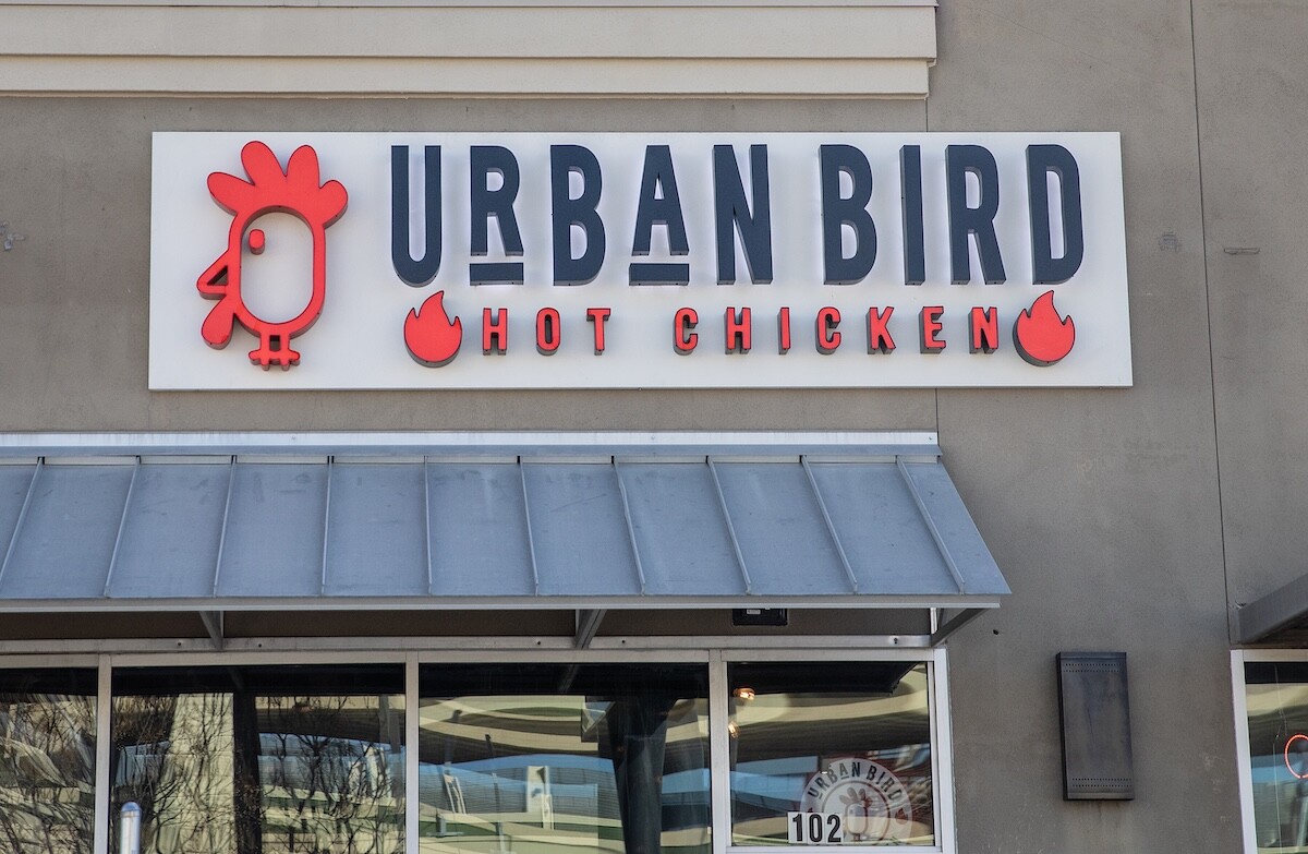 Urban Bird.jpg