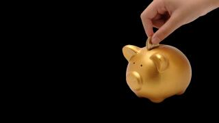 piggy bank AP
