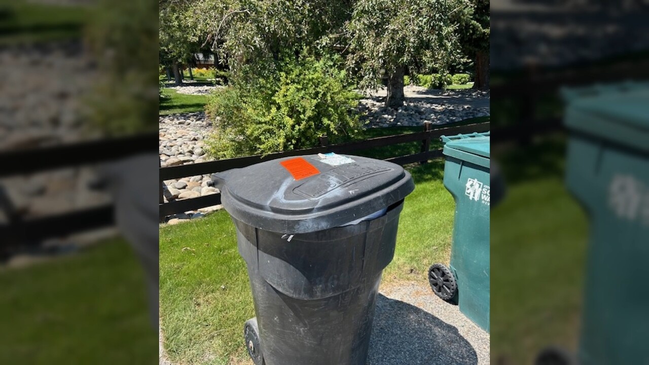 trash 3_2.7.1.jpg