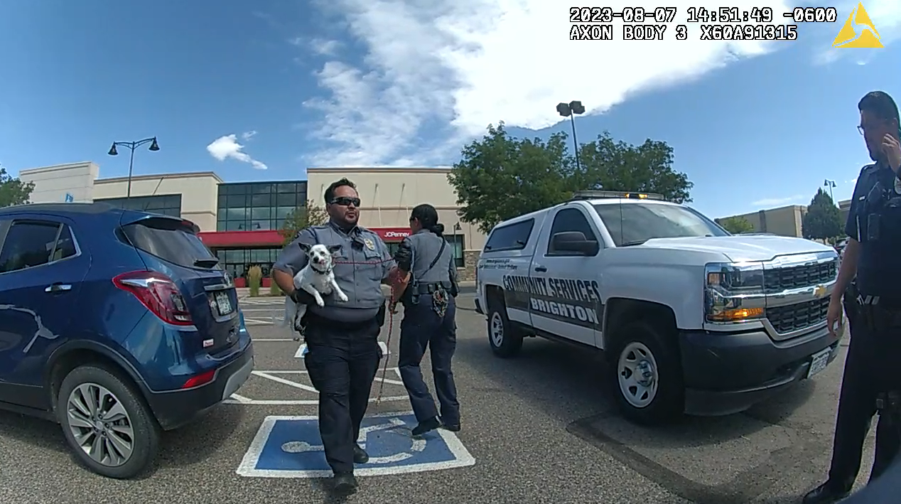 dog rescued hot car_Brighton Police Department