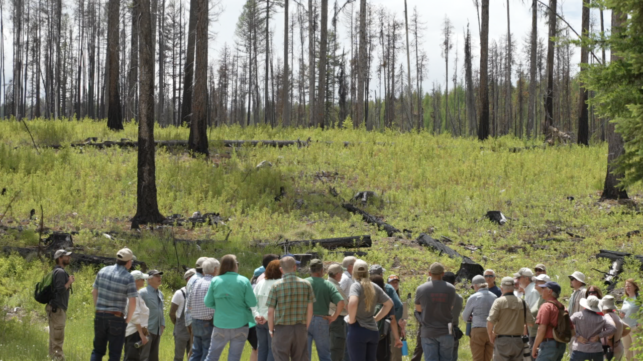 Colt Fire Map Colt Summit Project helped reduce impact of 2023's Colt Fire