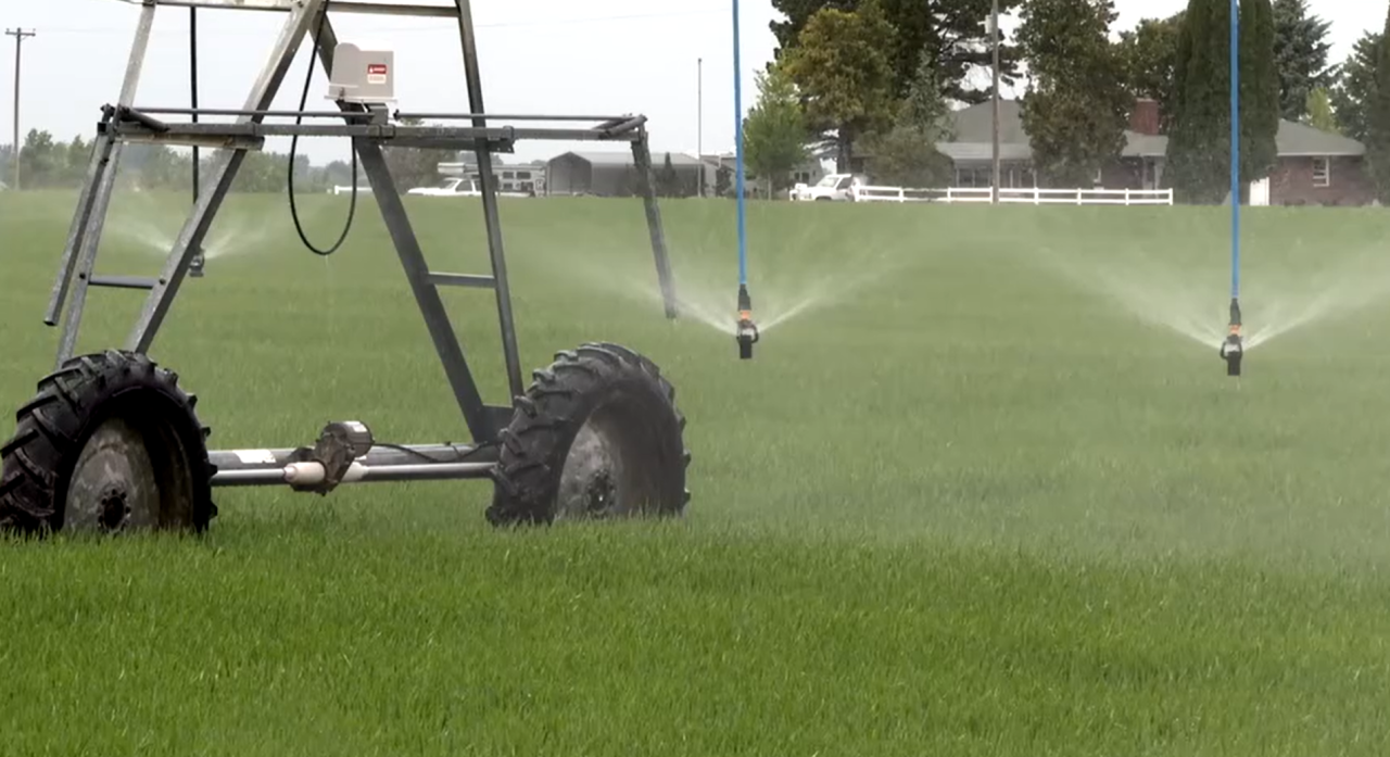 Irrigation sprinklers.png
