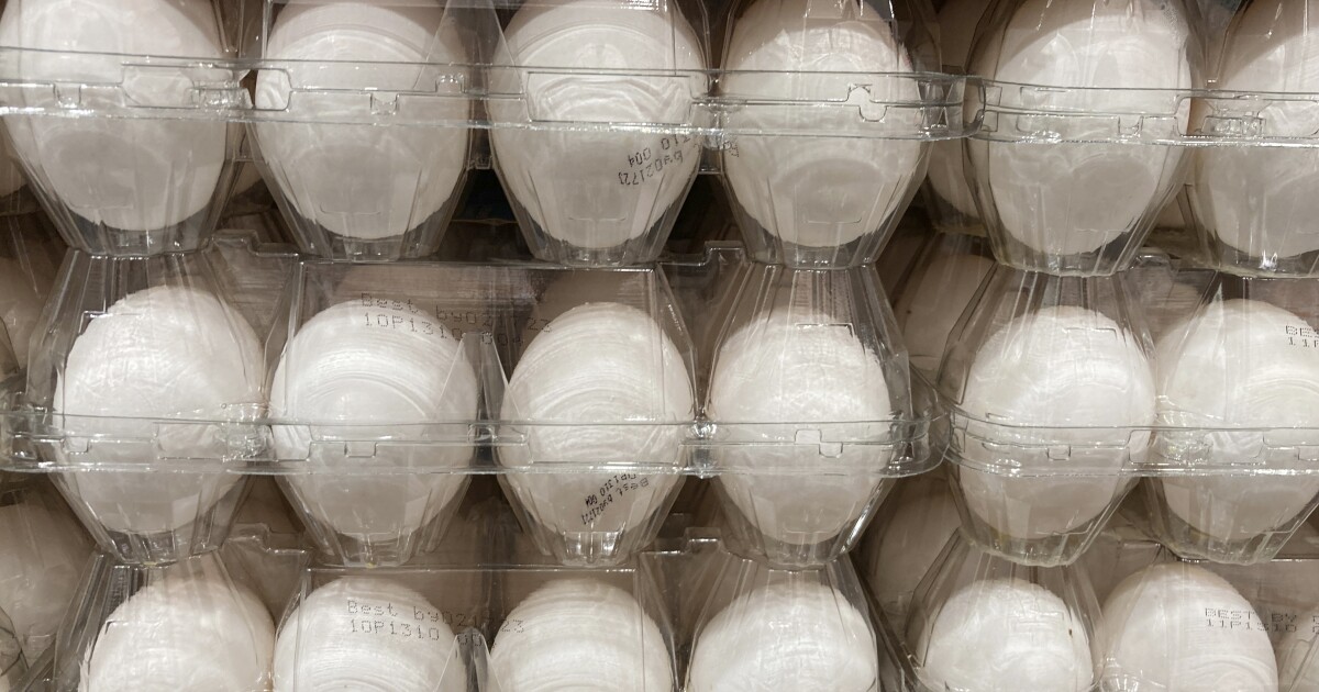 Wisconsin has highest salmonella cases from outbreak linked to recalled eggs