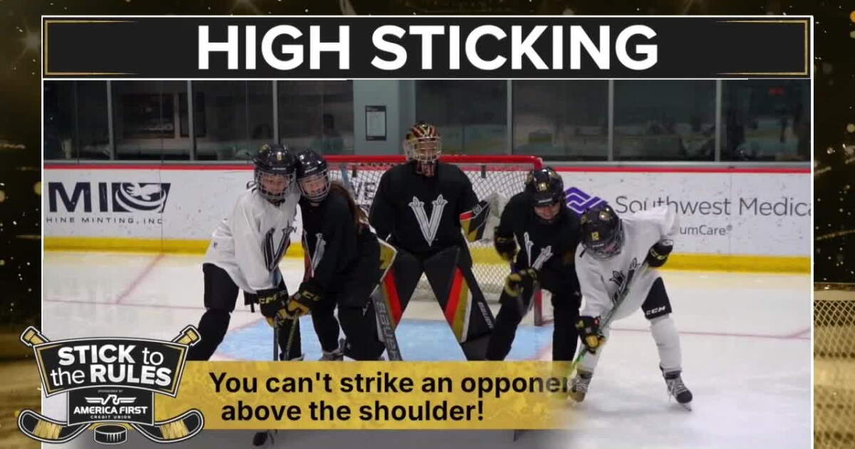 Dogs Rule Poster Stick to the Rules: What Is High Sticking?