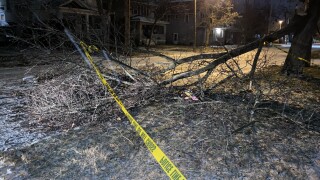 Kalamazoo Ice Storm Aftermath 