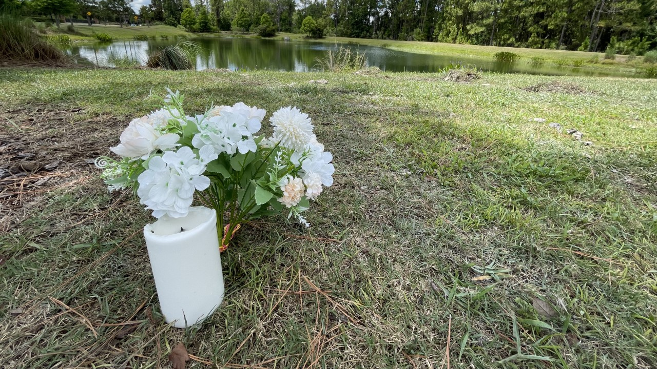 Wesley Chapel crash.png