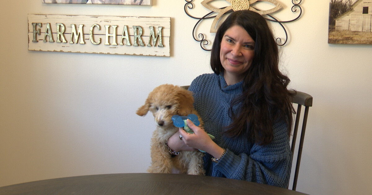 Treatment for the highly contagious canine parvovirus now available in Billings - Vimarsana News