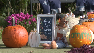 The Hubert's pay tribute to those battling cancer with dedicated pumpkins