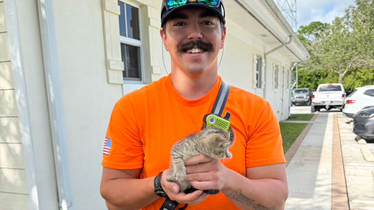 SLCFR with rescued kitten 